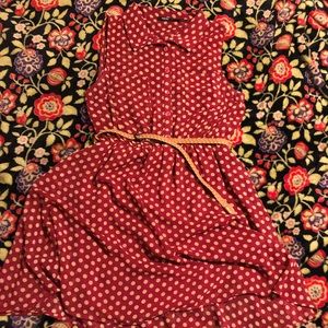 Sheer Polka Dot Collared Dress